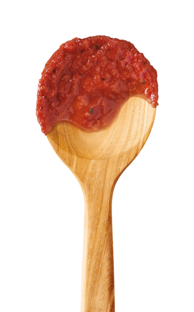 Spoon with Gourmet Tomato Sauce