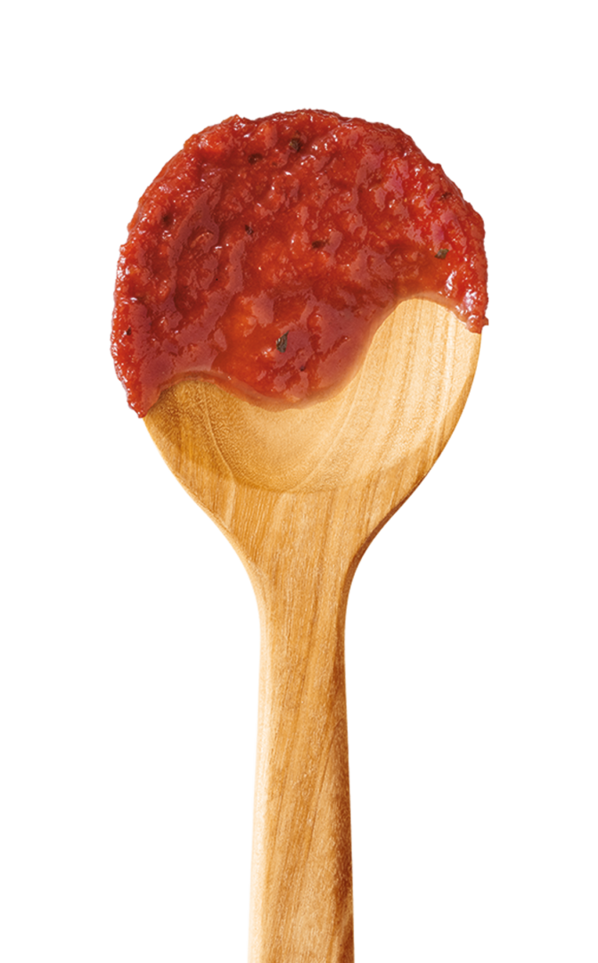 Spoon with Gourmet Tomato Sauce